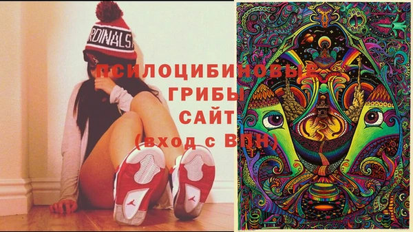 индика Алексеевка