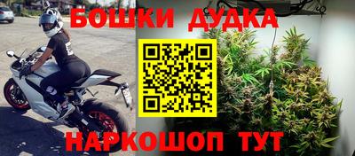 шишки Нальчик