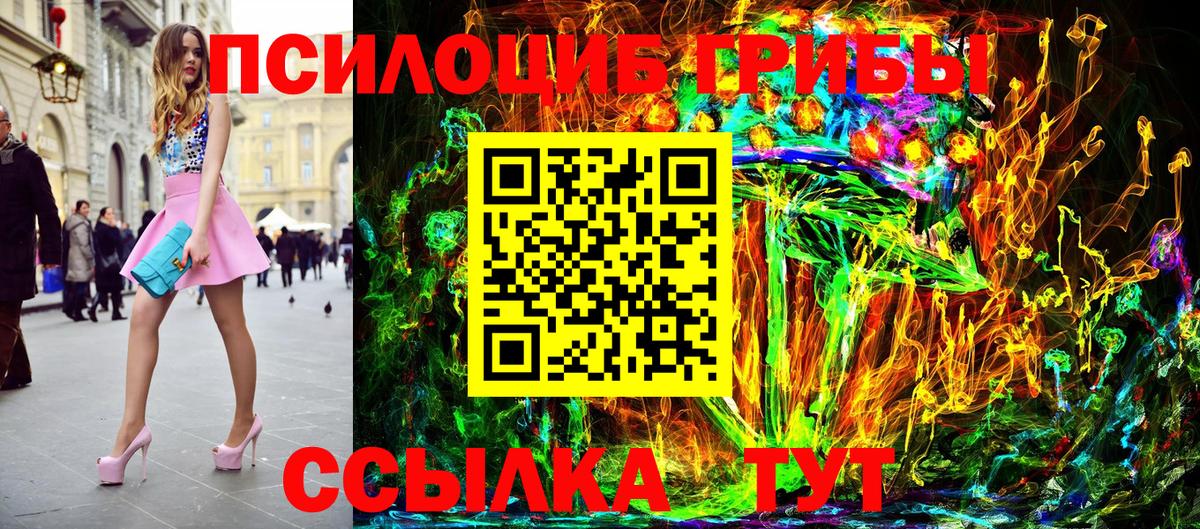 Чебоксары  закладки  Вход с VPN  Псилоцибиновые грибы прущие грибы 
